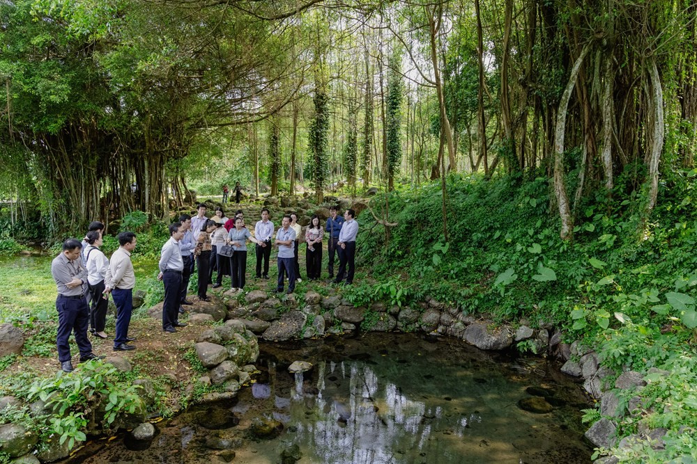 Lãnh đạo UBND tỉnh và Sở VHTTDL tỉnh Quảng Trị kiểm tra, đánh giá về hệ thống giếng cổ Gio An