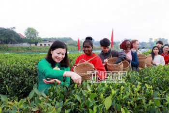 festival tra quoc te thai nguyen nam 2026 mo ra khat vong dua la che tro thanh thuong hieu ty do