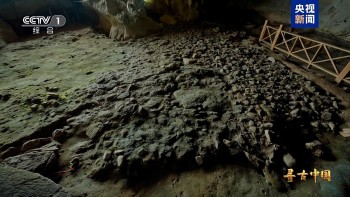 hanh trinh hoi sinh di chi 185000 nam tuoi van tho nham