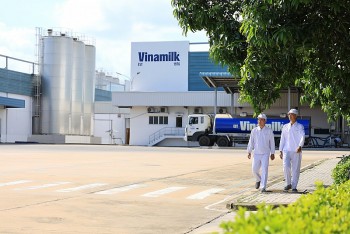 vinamilk tiep tuc la dai dien duy nhat cua nganh sua viet nam trong fortune southeast asia 500