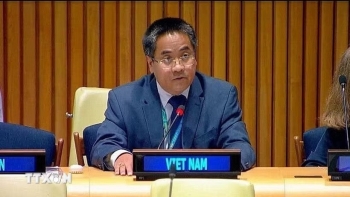 viet nam keu goi tang hop tac quoc te trong chong khung bo bao luc cuc doan