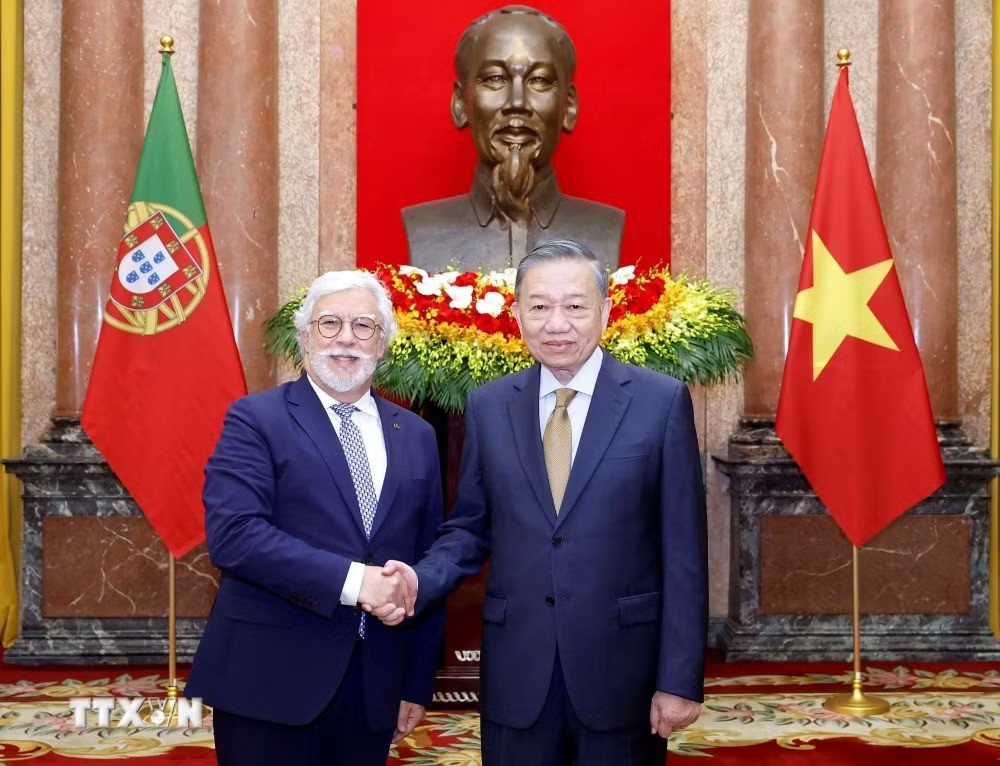 Tổng Bí thư, Chủ tịch nước Tô Lâm tiếp các Đại sứ trình Quốc thư Tổng Bí thư, Chủ tịch nước Tô Lâm tiếp các Đại sứ trình Quốc thư