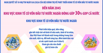 den nam 2045 khu vuc kinh te co von dau tu nuoc ngoai dong gop 30 gdp ca nuoc