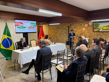 chia se thong tin kinh te thuong mai va dau tu viet nam brazil 6 thang dau nam 2026