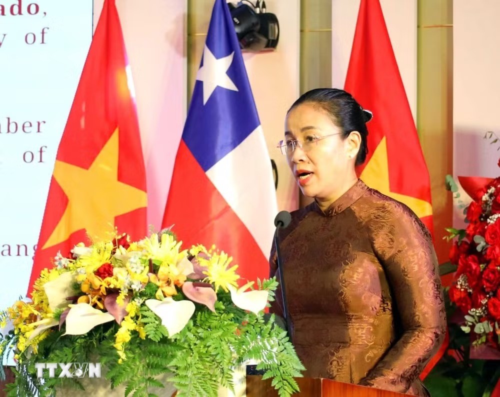 Phó Chủ tịch Ủy ban Nhân dân thành phố Đà Nẵng Nguyễn Thị Anh Thi phát biểu tại lễ kỷ niệm. (Ảnh: TTXVN)