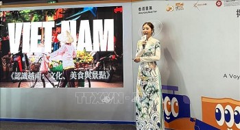 gioi thieu van hoa viet nam den cong chung quoc te tai hoi cho sach hong kong