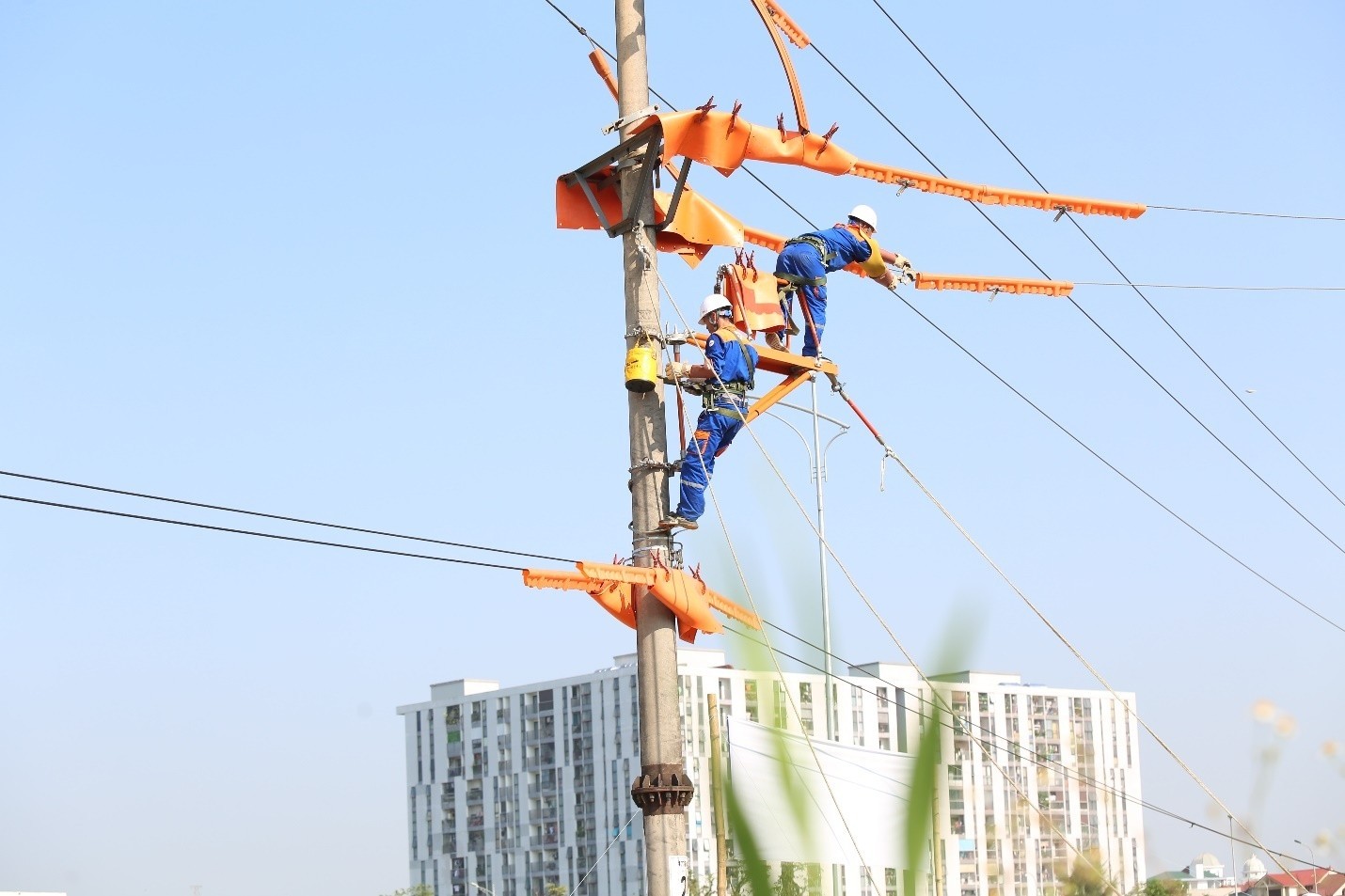 Giữ nhịp dòng điện mùa nắng nóng: Từ bản lĩnh người thợ Hotline đến tầm nhìn quản trị của EVNNPC