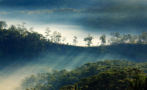 khoanh khac da lat chim trong suong dep tua chon thien duong