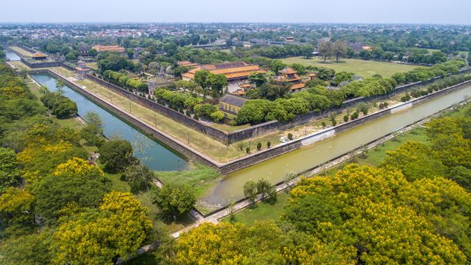 nhung loai hoa khoe sac trong nang ha o hue