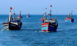 Hội Nghề cá Việt Nam phản đối lệnh cấm đánh bắt cá của Trung Quốc trên Biển Đông