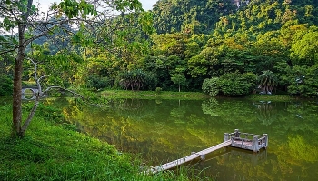 Tháng 8: Nếu đã chán xuống biển, bạn có thể chọn lên rừng để ngắm cảnh