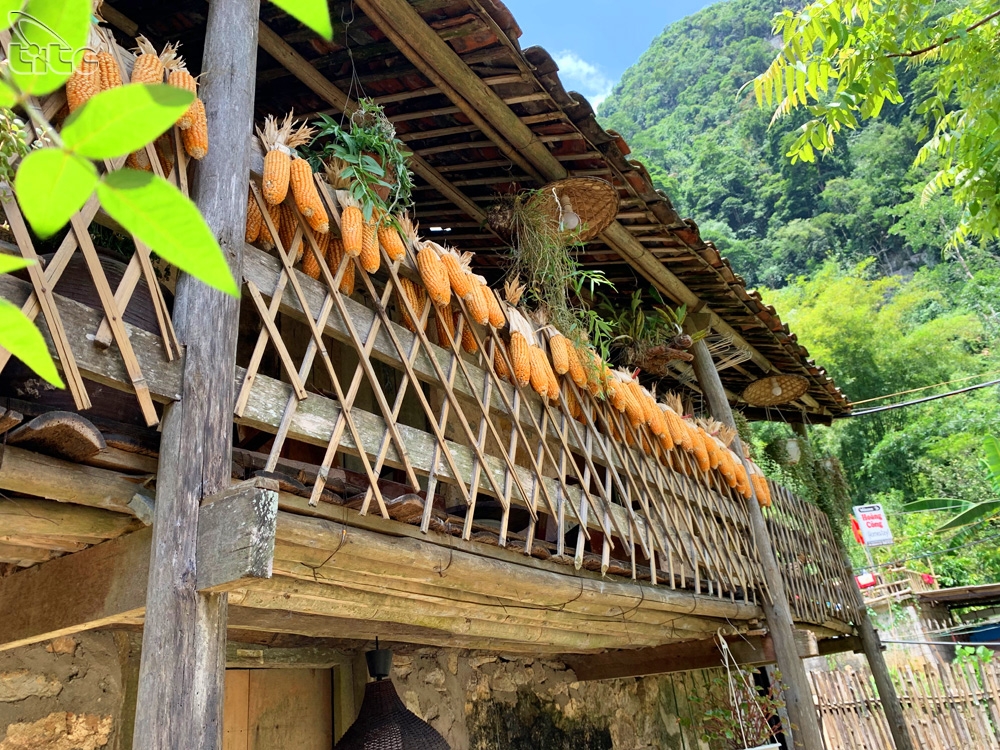 nhung ngoi nha san da tram tuoi o vung bien cuong