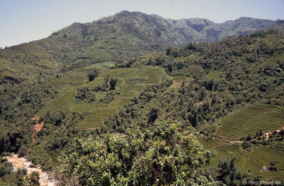 chum anh phien cho sapa nam 1992 trong anh cua du khach nuoc ngoai