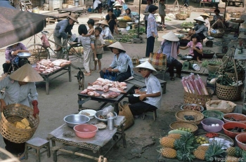 Chùm ảnh: Vẻ đẹp thôn quê của Mỹ Tho (Tiền Giang) và cảnh sông nước miền Tây những năm 90
