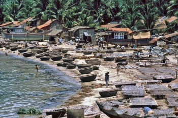 Chùm ảnh màu "cực độc" về xứ "hoa vàng cỏ xanh" Phú Yên đẹp lạ lùng thập niên 90