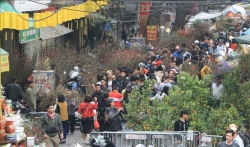 Chợ hoa Hà Nội vẫn nhộn nhịp, tấp nập kẻ bán người mua chơi Tết