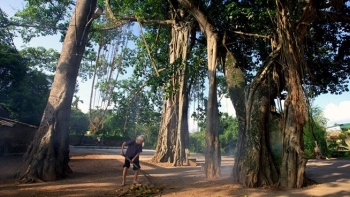 Tết đến, muốn về làng thăm lại cảnh xưa, người cũ...