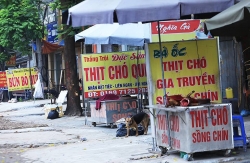 Chủ tịch Hà Nội kêu gọi người dân chấm dứt ăn thịt chó để phòng dịch Covid-19