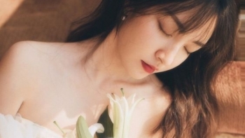tu vi chiem tinh ngay 248 cua 12 con giap tuoi ty nhieu y tuong moi