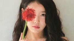 chiem tinh ngay 289 ve cong viec cua 12 con giap tuoi ngo co chut chanh long