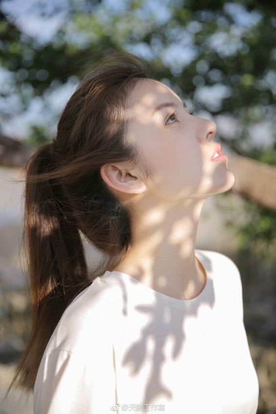 chiem tinh ngay 511 cua 12 con giap tuoi suu e ngai
