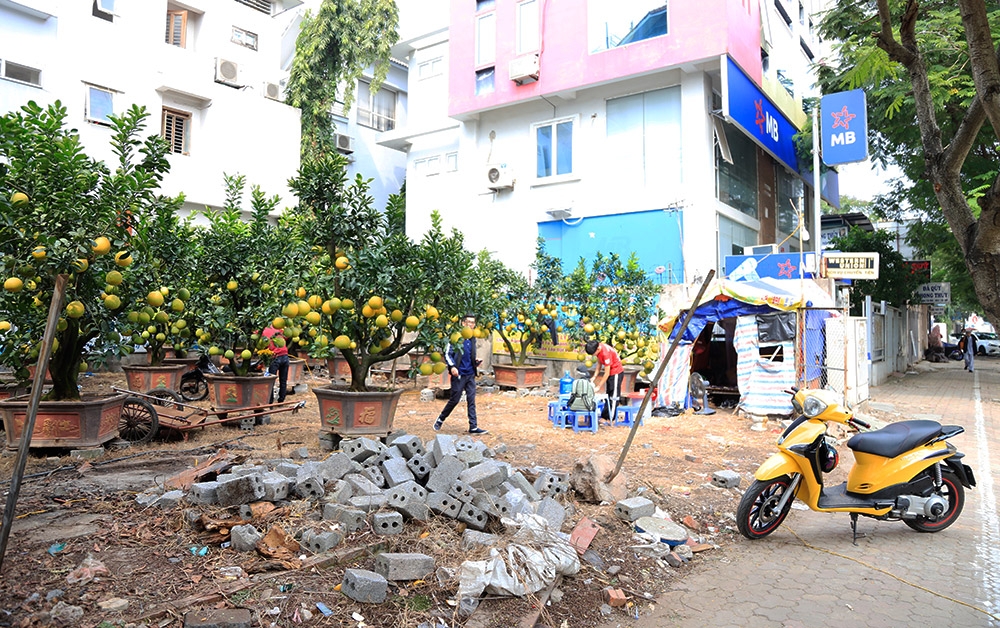 ha noi dao tet mini buoi canh khung gia mem dua nhau xuong pho phuc vu tet