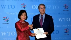 Việt Nam cam kết là thành viên tích cực và có trách nhiệm của WTO