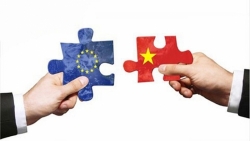 Liên minh Châu Âu đặt nhiều kỳ vọng khi thông qua EVFTA với Việt Nam