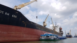 Kiến nghị Thủ tướng cho xuất khẩu lô gạo đưa vào cảng ngày 24/3