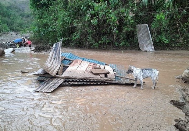 hoi chu thap do ho tro khan cap hon 300 trieu dong khac phuc anh huong mua da dong loc