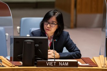 Việt Nam khẳng định chính sách không phổ biến vũ khí hạt nhân, giải trừ quân bị