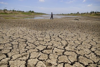 Mức độ xâm nhập mặn ở Đồng bằng sông Cửu Long có xu thế giảm