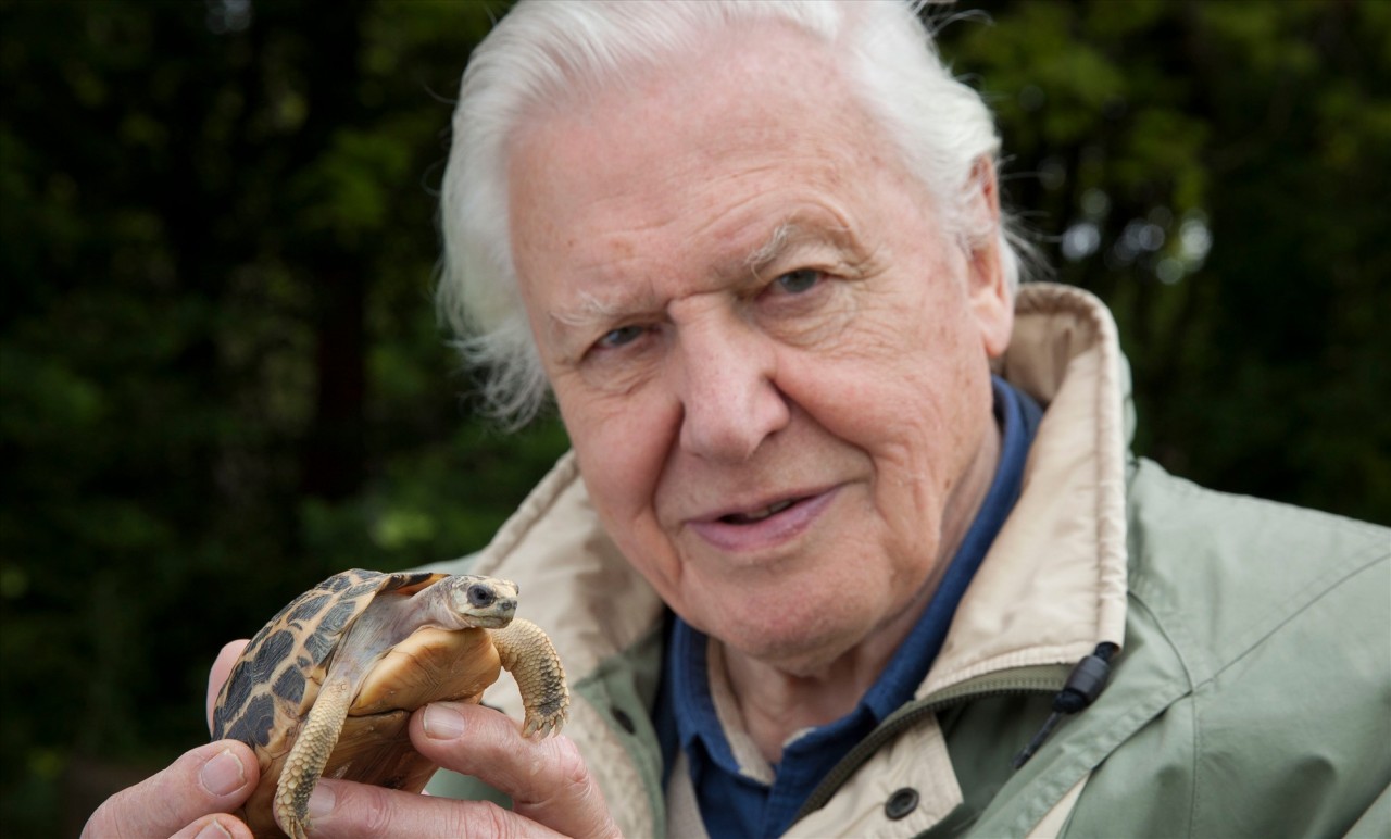 David Attenborough được vinh danh là Nhà vô địch của trái đất