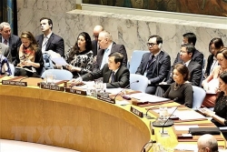 Việt Nam đại diện E10 thảo luận về thủ tục và phương pháp làm việc của Hội đồng Bảo an Liên hợp quốc