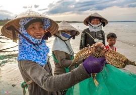 Nghề kéo lưới rùng bắt cá độc đáo ở xứ Quảng