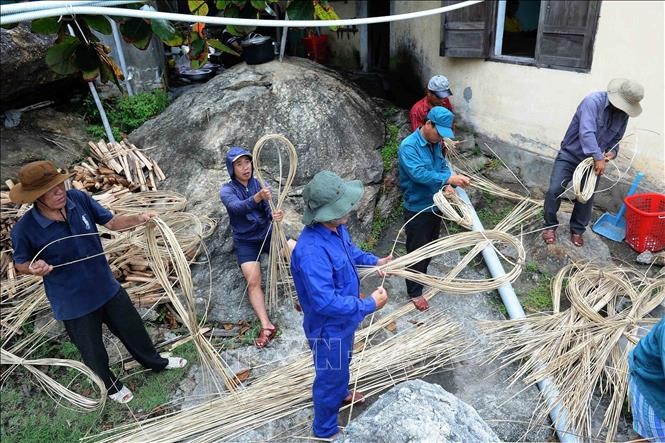 Nỗ lực tái tạo và phát triển bền vững đàn yến trên đảo Cù Lao Chàm