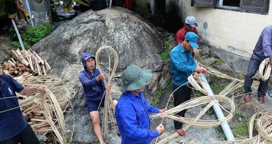 Nỗ lực tái tạo và phát triển bền vững đàn yến trên đảo Cù Lao Chàm