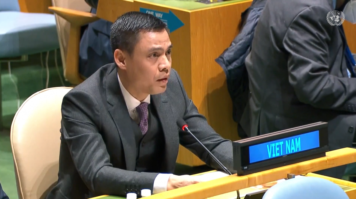 Việt Nam ủng hộ thực chất vào các nỗ lực nhân đạo của Liên hợp quốc