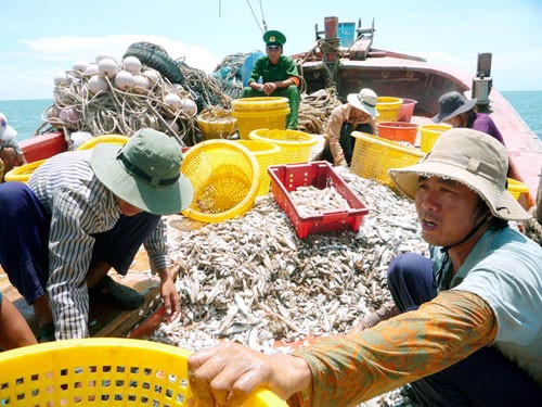 Mỹ tăng cường hợp tác với Việt Nam chống đánh bắt cá trái phép