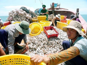 Mỹ tăng cường hợp tác với Việt Nam chống đánh bắt cá trái phép