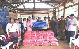 Việt Nam trao tặng hai tấn gạo cho dân nghèo tại Lào