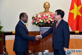 Việt Nam sẵn sàng chia sẻ kinh nghiệm phòng, chống COVID-19 với Angola
