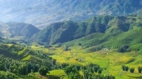 Âm vang núi rừng Lào Cai