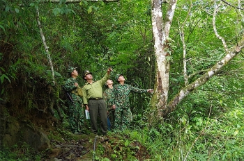 Bảo vệ rừng đầu nguồn biên giới Sin Suối Hồ