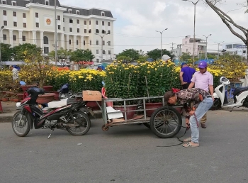 xe om ba gac dat hang lam shipper chuyen cay canh tet kiem tien trieu moi ngay