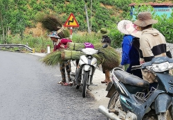 Chít đót: Lộc rừng đầu xuân ở xứ Quảng