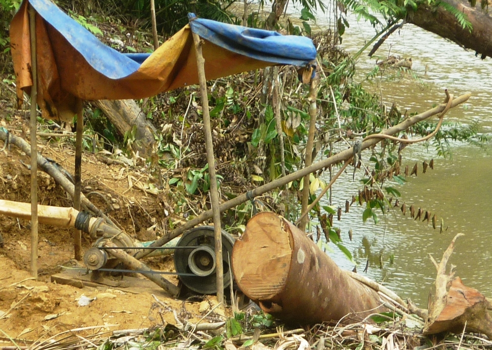 Để bảo vệ rừng, Quảng Nam sẽ đánh sập các hầm vàng tại Vườn quốc gia Sông Thanh