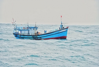Tàu kiểm ngư hỗ trợ cấp cứu ngư dân Đà Nẵng bị nạn trên biển