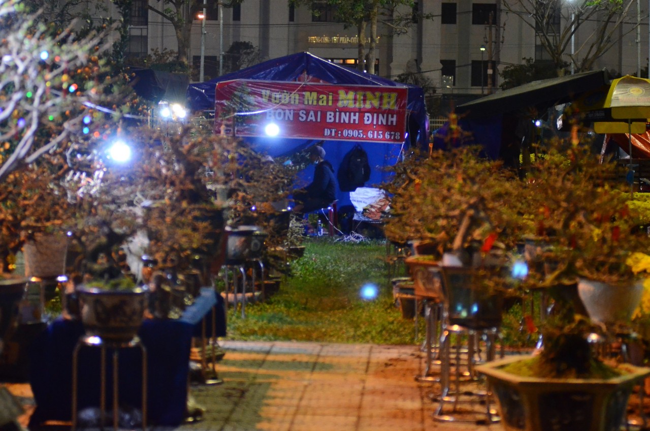 Đà Nẵng: Chợ hoa Tết thưa vắng người mua