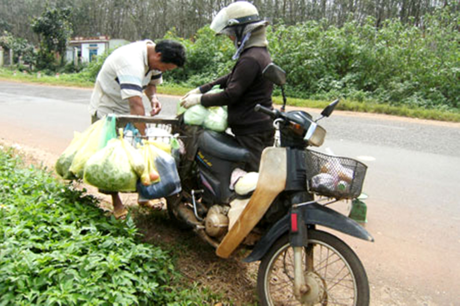 chuyen nhung nguoi phu nu buon duong rung o vung bien